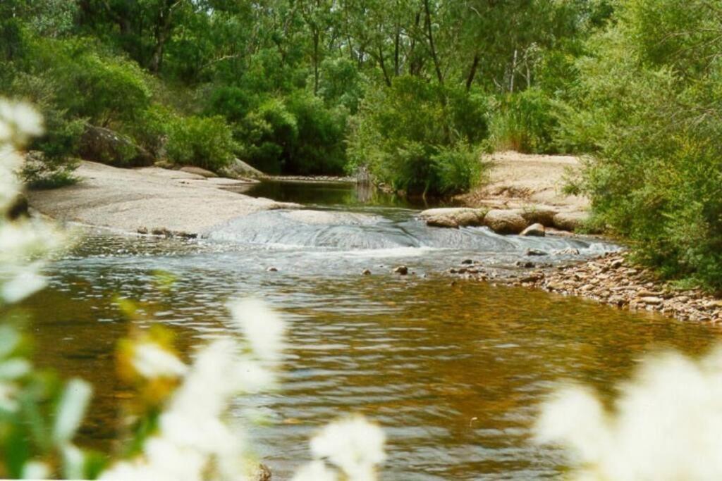 Hidden Gem, Megalong Valley, Blue Mountains Villa Kanimbla Exterior photo